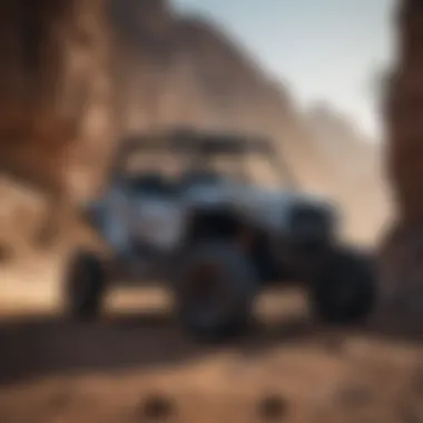 Magnificent An In-Depth Exploration of the 2022 RZR Trail Premium