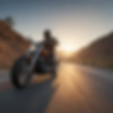 Rider enjoying the Harley Low Rider Dyna on a winding road